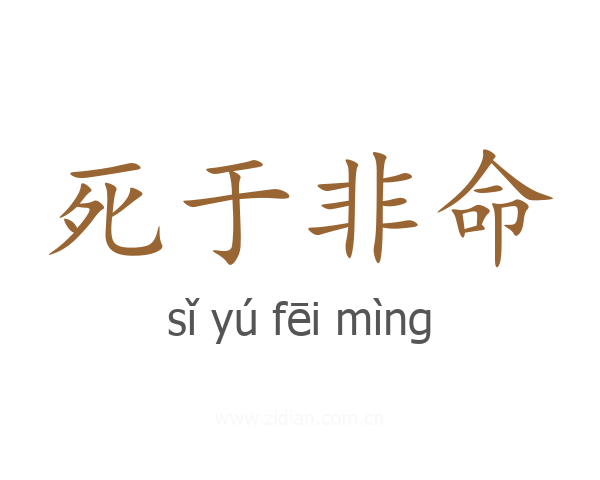 死于非命