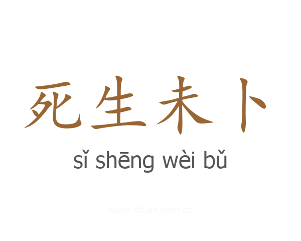 死生未卜