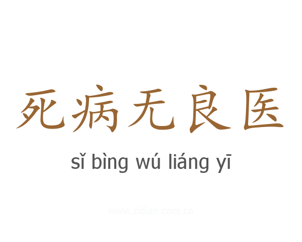 死病无良医
