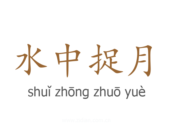 水中捉月