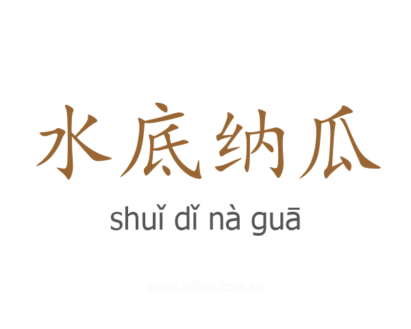 水底纳瓜