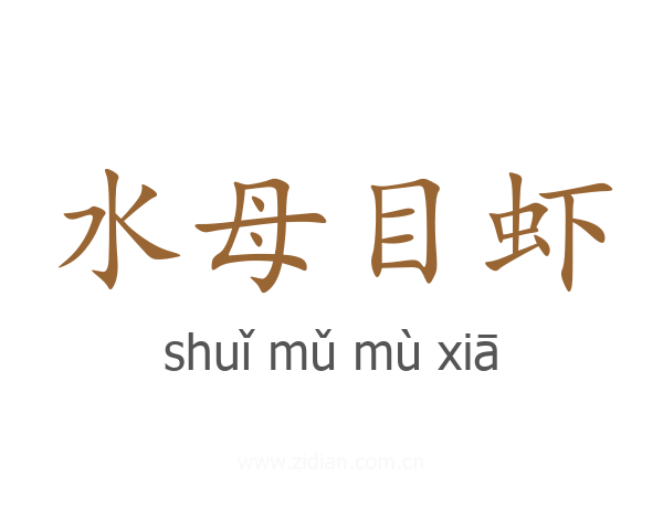 水母目虾
