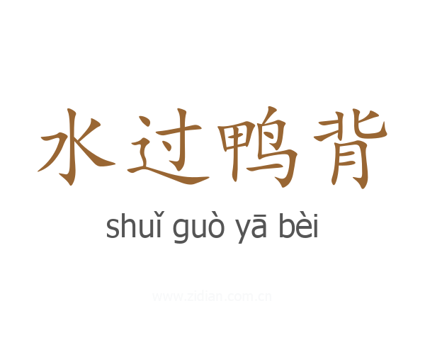 水过鸭背