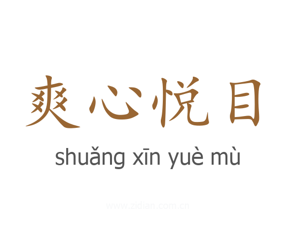爽心悦目