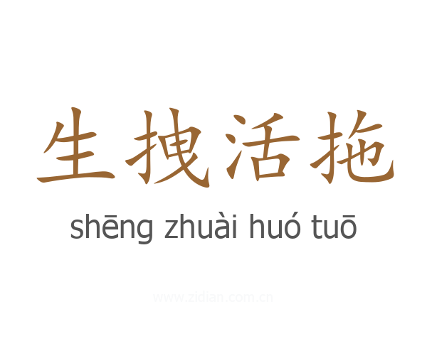 生拽活拖