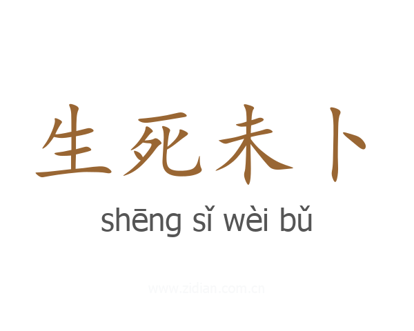 生死未卜