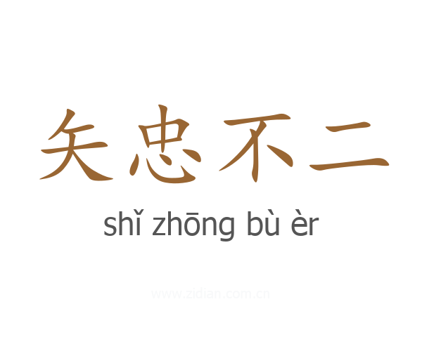 矢忠不二