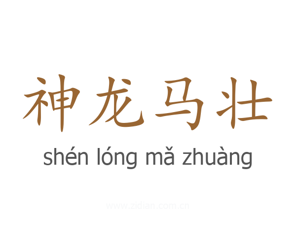神龙马壮