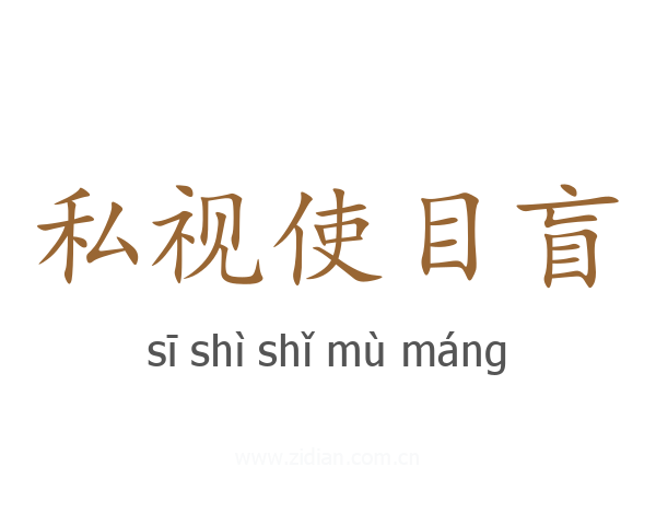 私视使目盲
