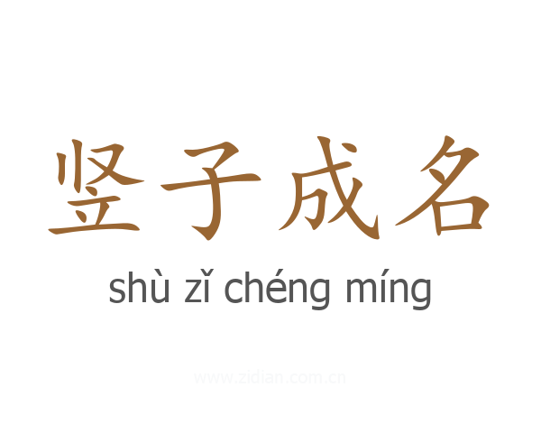 竖子成名