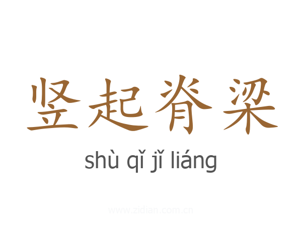 竖起脊梁