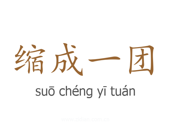 缩成一团