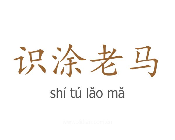 识涂老马