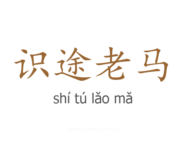 识途老马
