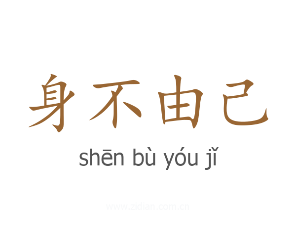 身不由己
