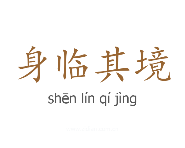 身临其境