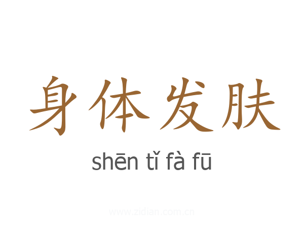 身体发肤