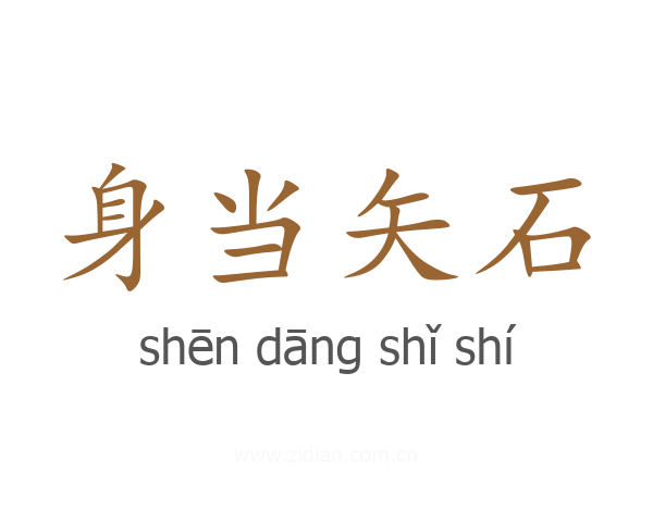 身当矢石