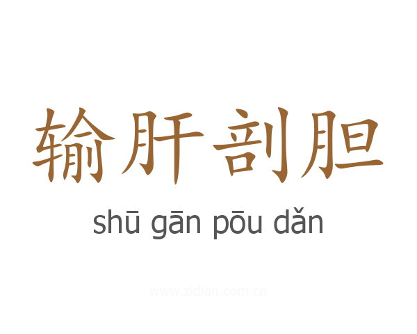 输肝剖胆