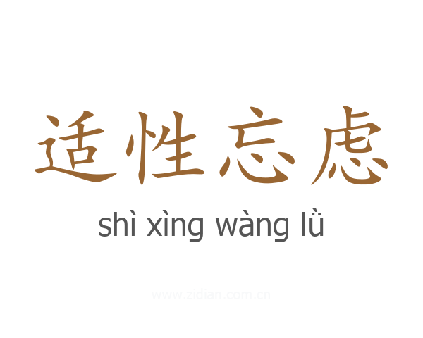 适性忘虑
