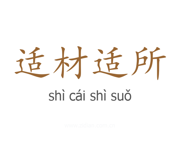 适材适所