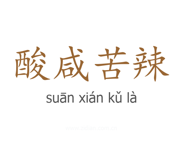 酸咸苦辣