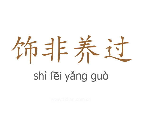 饰非养过