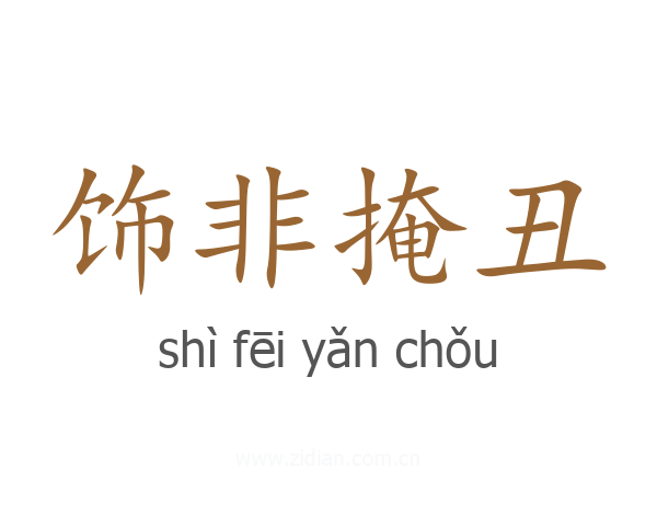 饰非掩丑