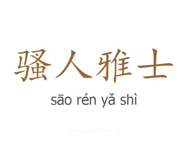 骚人雅士