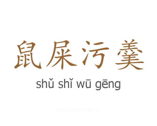 鼠屎污羹