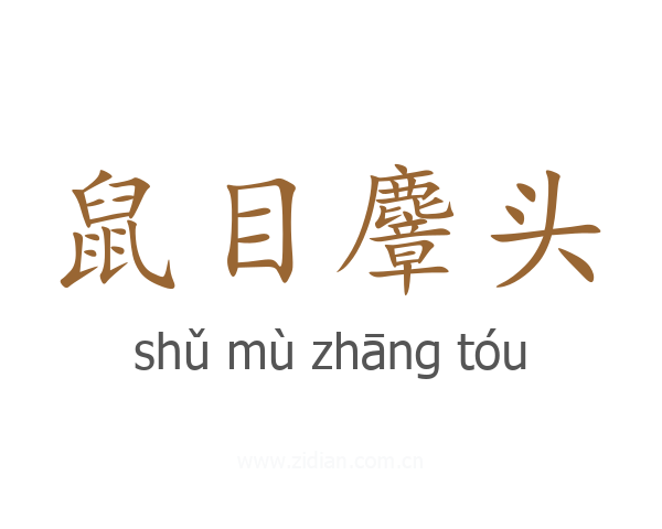 鼠目麞头