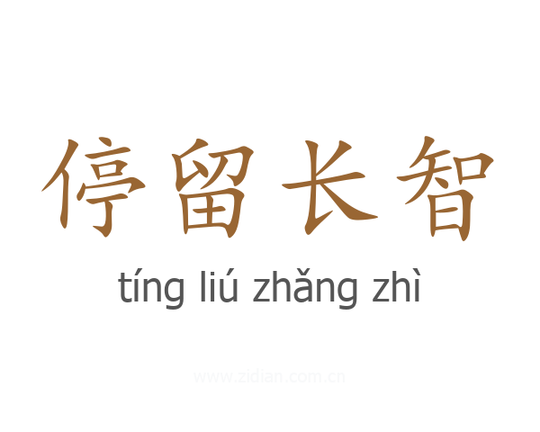 停留长智