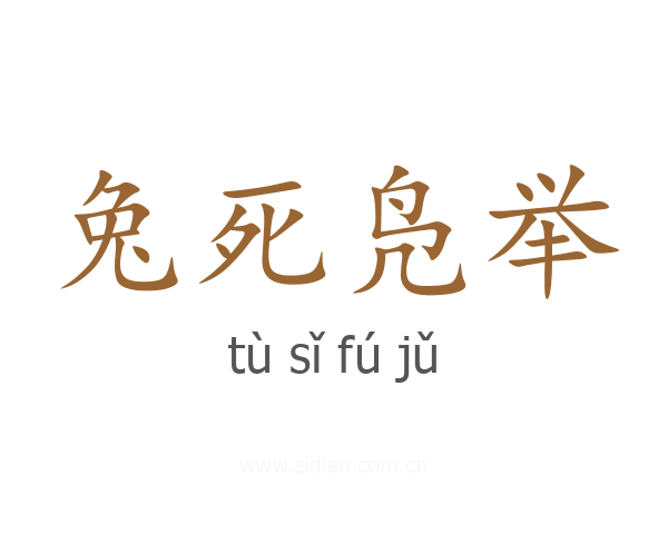 兔死凫举
