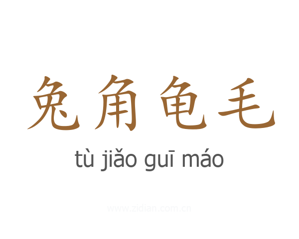 兔角龟毛