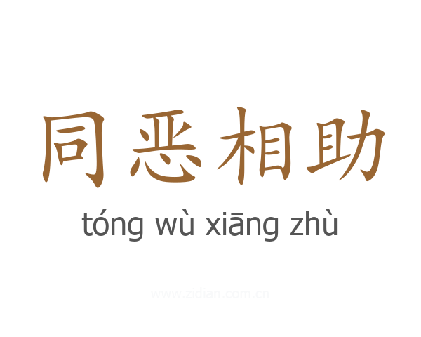 同恶相助
