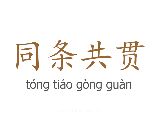 同条共贯
