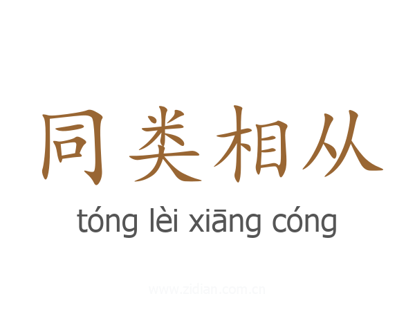 同类相从