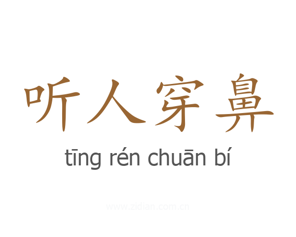 听人穿鼻