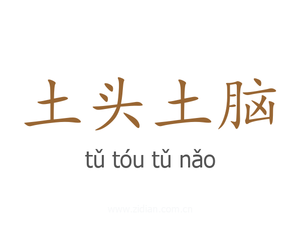 土头土脑