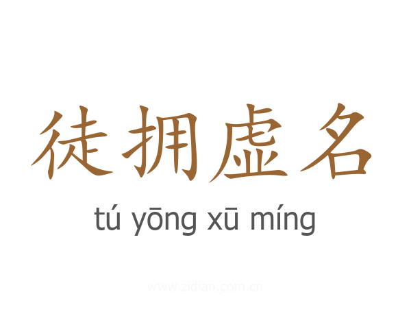 徒拥虚名