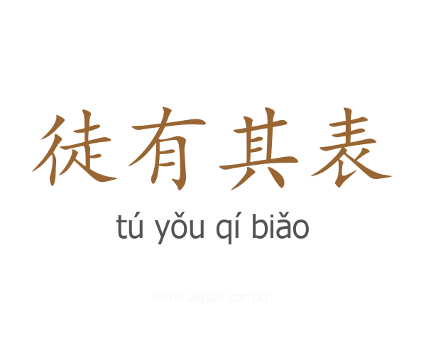 徒有其表