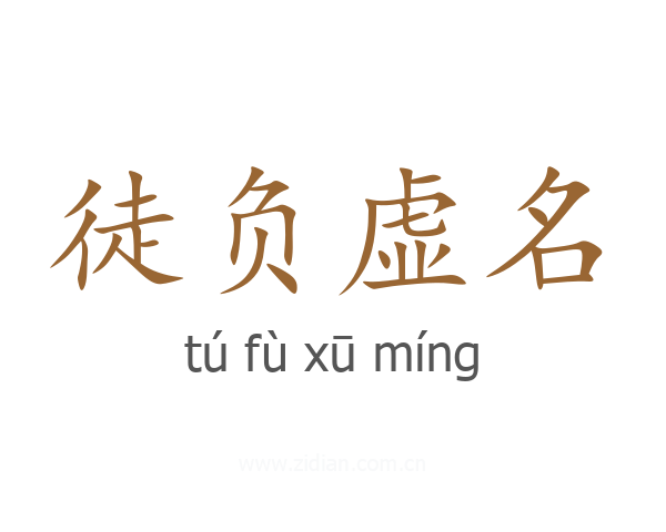 徒负虚名