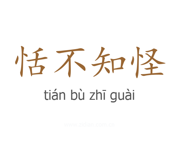 恬不知怪