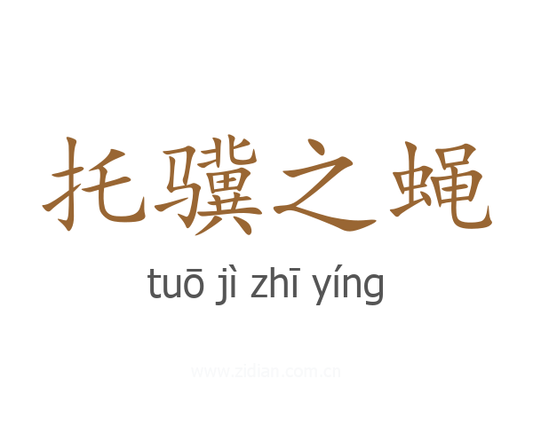 托骥之蝇