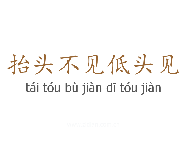 抬头不见低头见