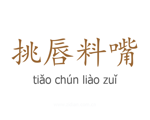 挑唇料嘴