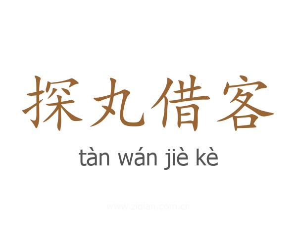 探丸借客