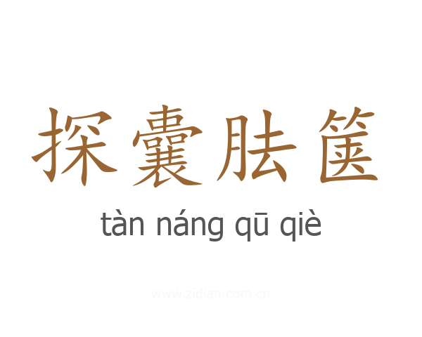探囊胠箧