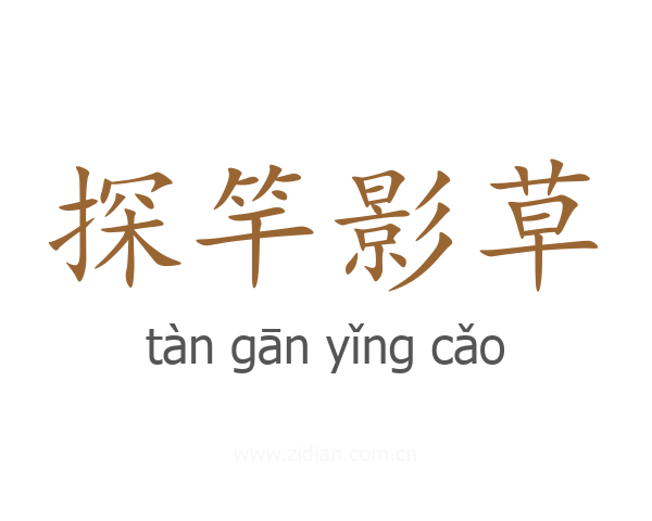 探竿影草