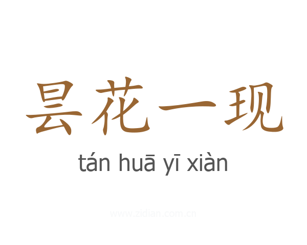 昙花一现